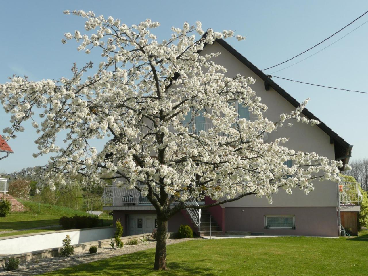 Chez Anny Et Jean Au Mittelbuehl-Reichshoffen Bed & Breakfast Exterior foto